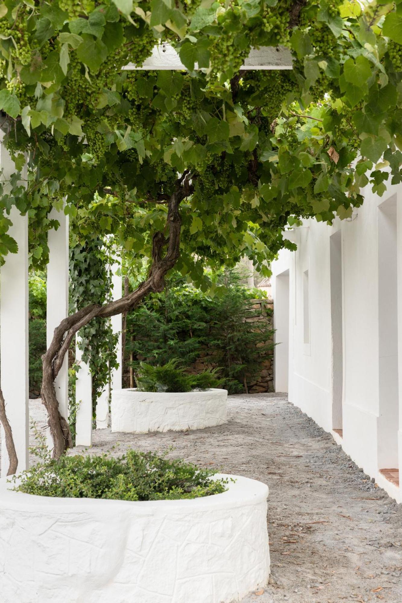 Holiday home Monte Dos Coureleiros